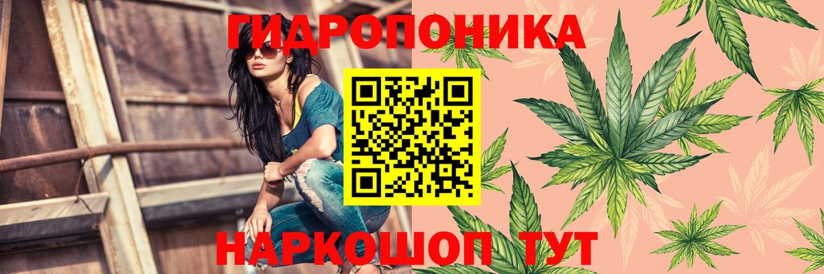 Конопля план Ростов Великий